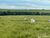 Fazenda - Foto 1