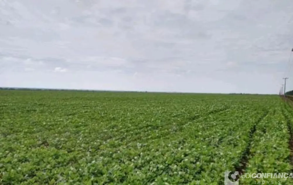 Fazenda - Foto 11