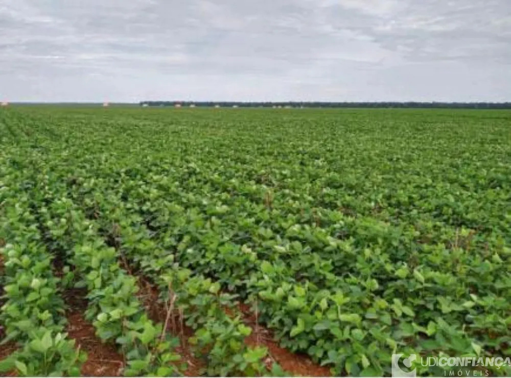 Fazenda - Foto 8