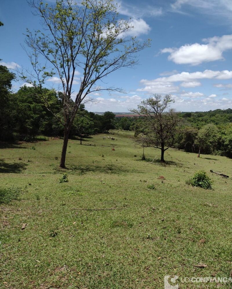 Fazenda, 3 quartos - Foto 4