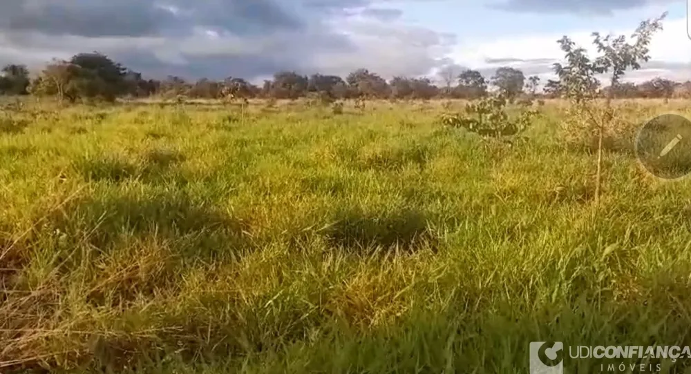 Fazenda - Foto 4