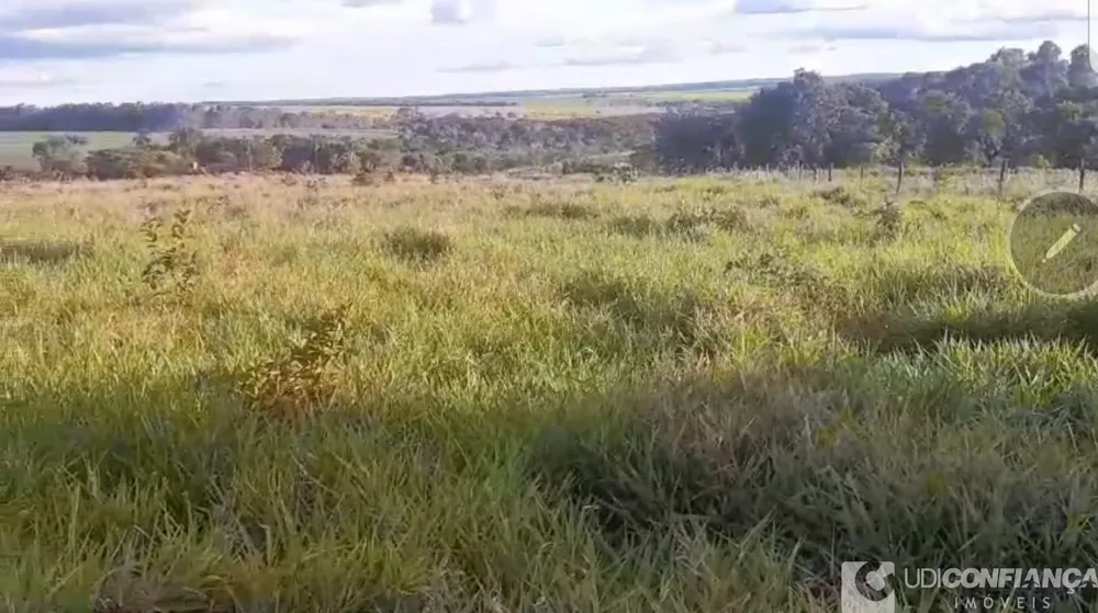 Fazenda - Foto 1