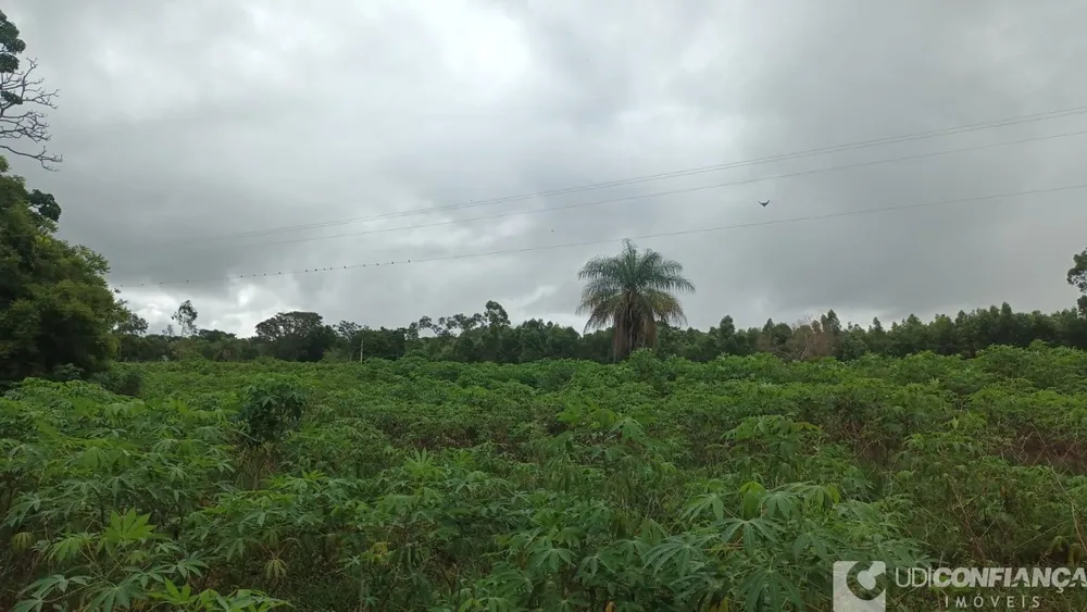 Fazenda - Foto 1