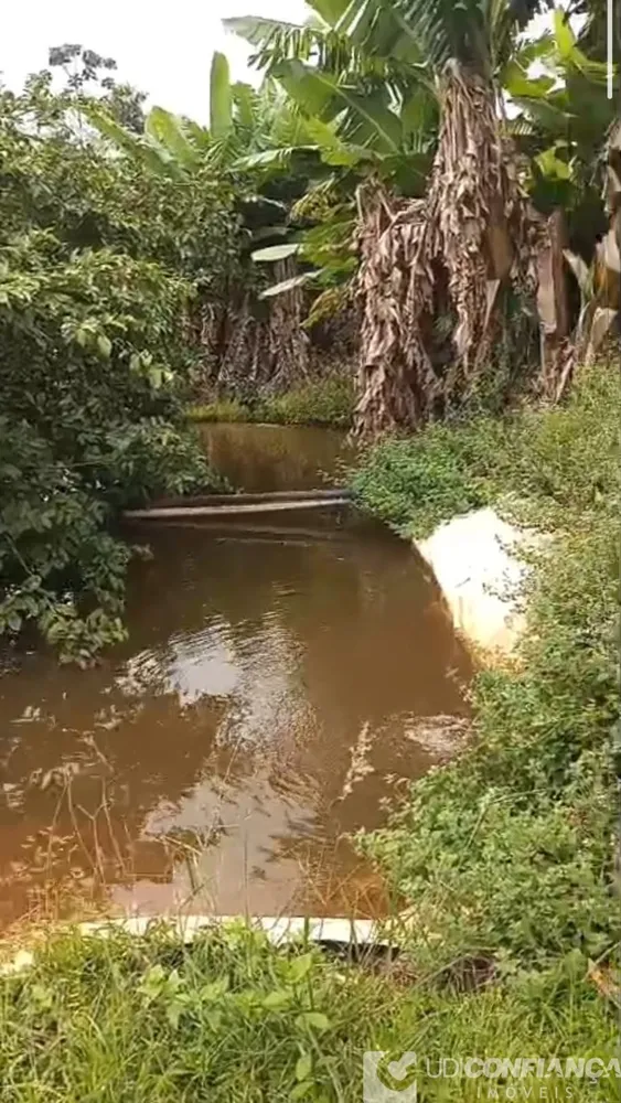 Fazenda - Foto 6