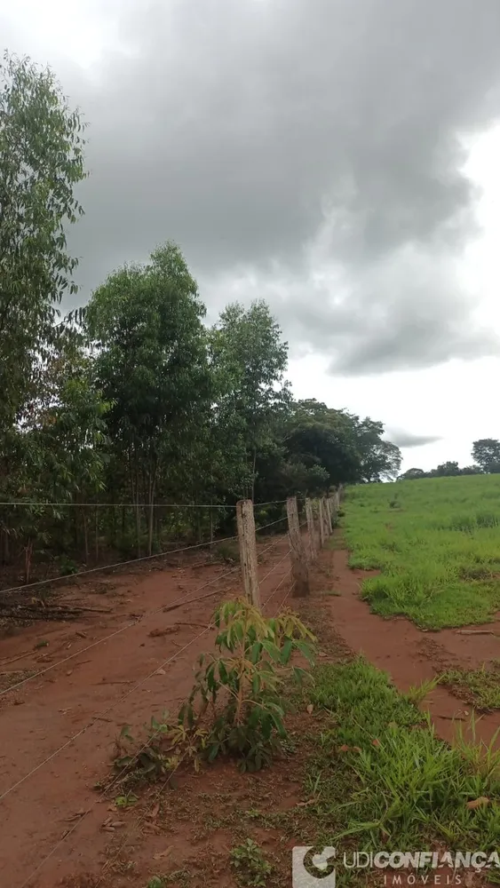Fazenda - Foto 8