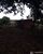 Fazenda-Sítio-Chácara - Foto 2