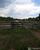 Fazenda-Sítio-Chácara - Foto 1