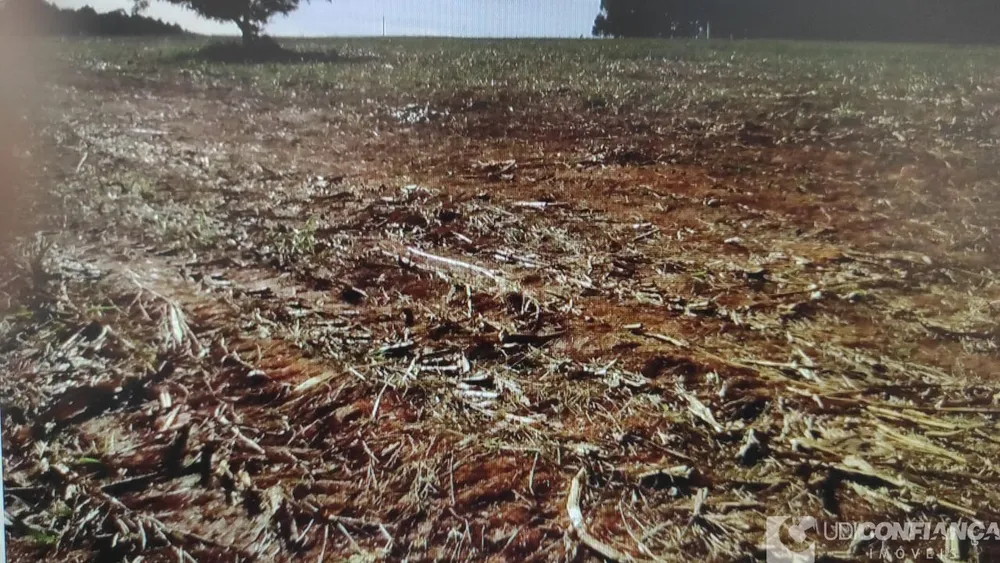 Fazenda - Foto 1