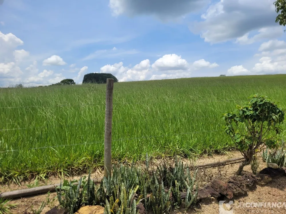 Fazenda - Foto 3
