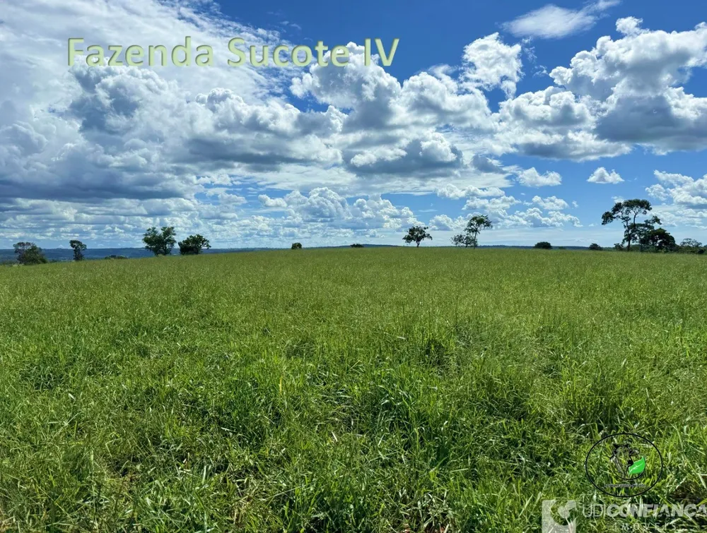 Fazenda - Foto 3