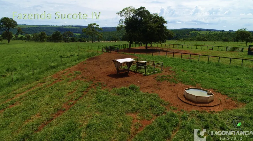 Fazenda - Foto 3
