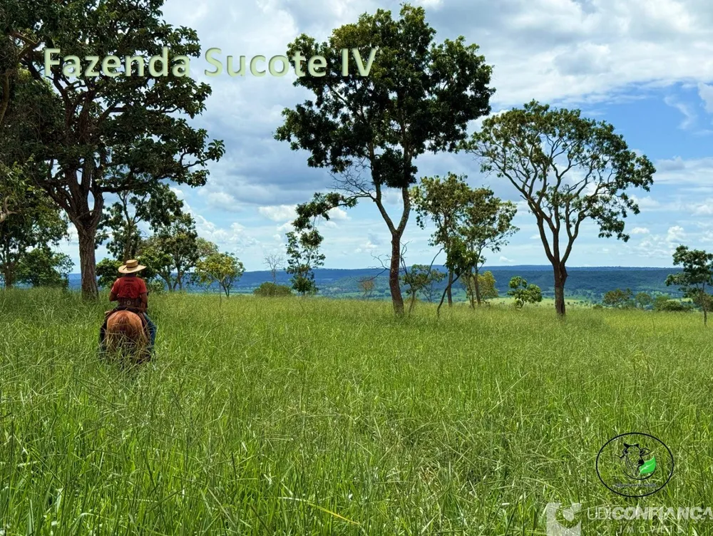 Fazenda - Foto 4
