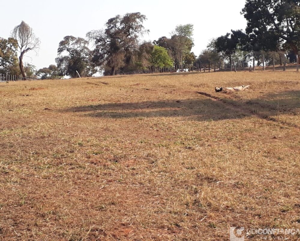 Fazenda - Foto 11