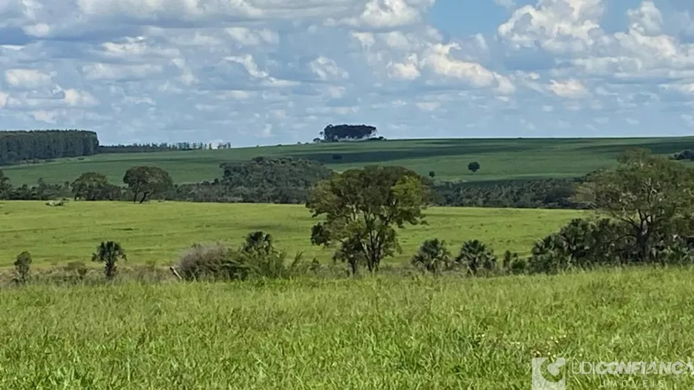 Fazenda à venda - Foto 4