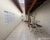 Casa, 3 quartos, 217 m² - Foto 4