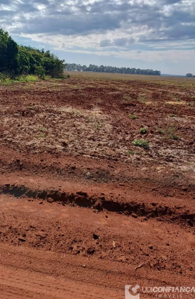 Fazenda - Foto 8