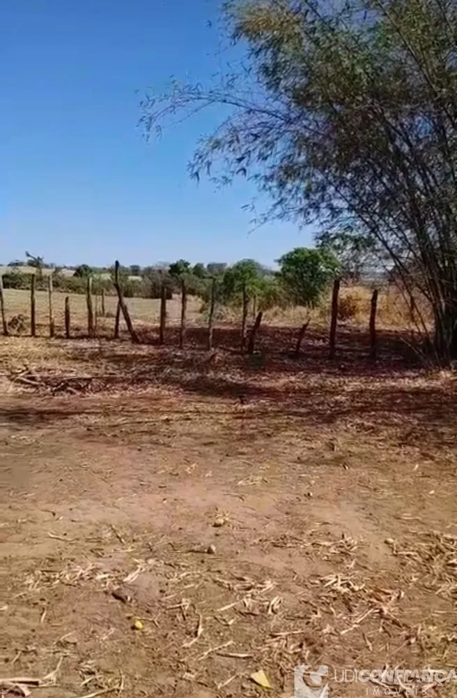 Chácara - Foto 3