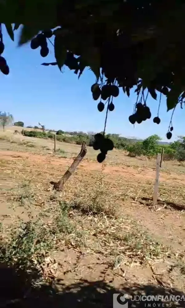 Chácara - Foto 1