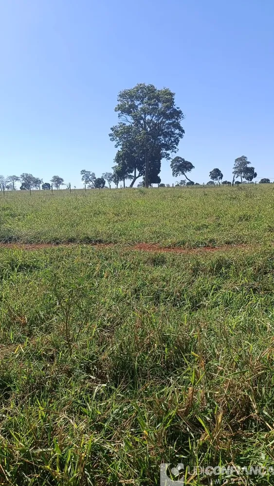 Fazenda - Foto 4