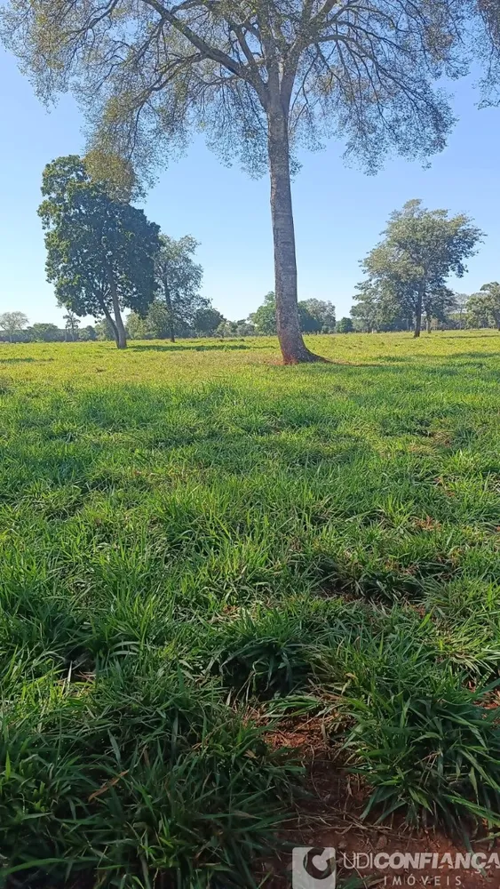 Fazenda - Foto 3