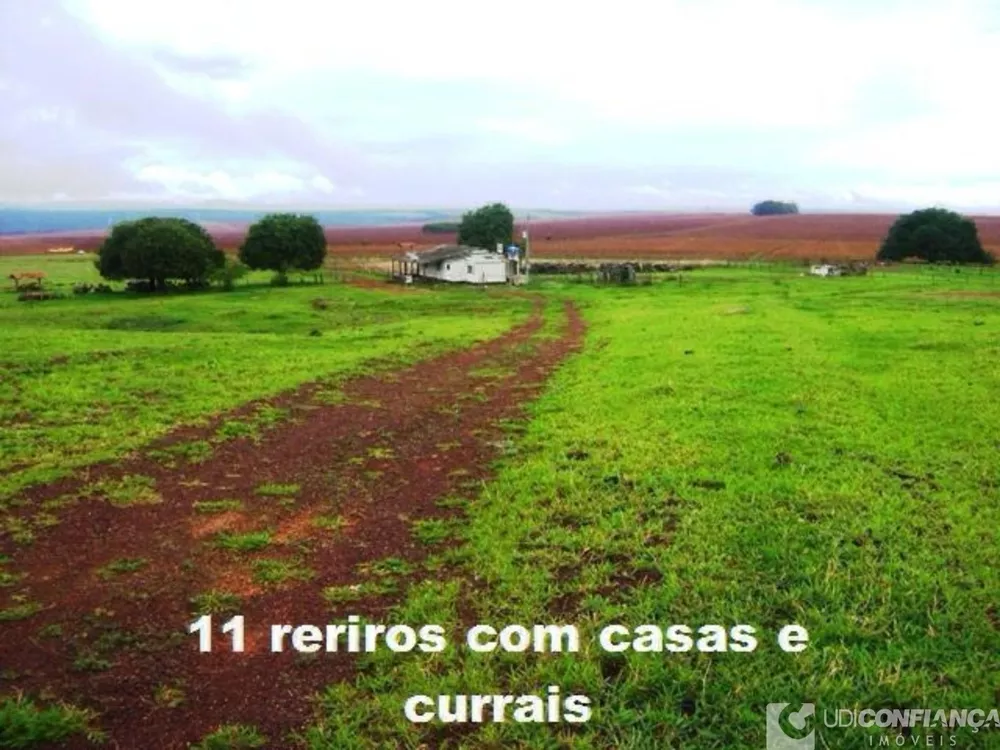 Fazenda-Sítio-Chácara - Foto 8