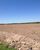 Fazenda-Sítio-Chácara - Foto 8