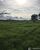 Fazenda-Sítio-Chácara - Foto 5