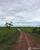 Fazenda-Sítio-Chácara - Foto 4