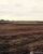 Fazenda-Sítio-Chácara - Foto 11