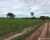 Fazenda-Sítio-Chácara - Foto 3