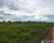 Fazenda-Sítio-Chácara - Foto 2