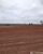 Fazenda-Sítio-Chácara - Foto 10