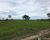 Fazenda-Sítio-Chácara - Foto 7