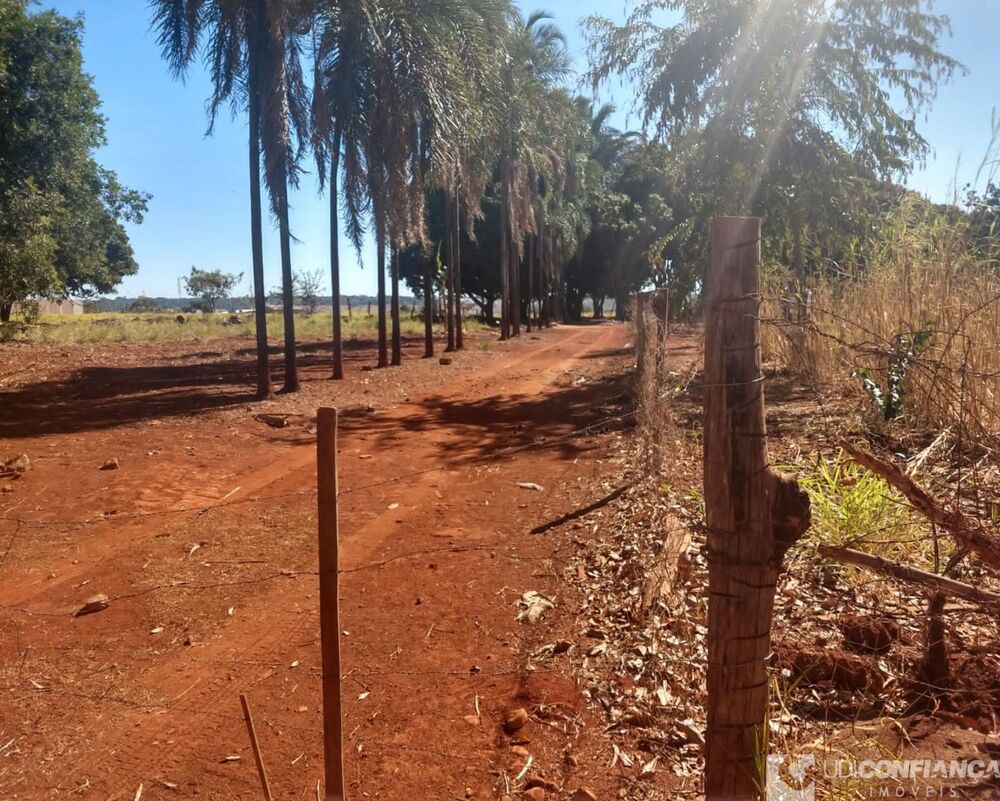 Chácara - Foto 4