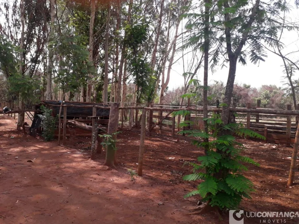 Fazenda - Foto 3