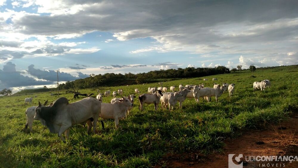 Fazenda - Foto 8