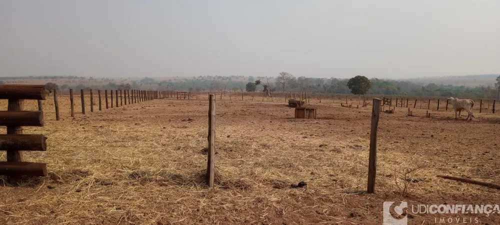 Fazenda - Foto 4