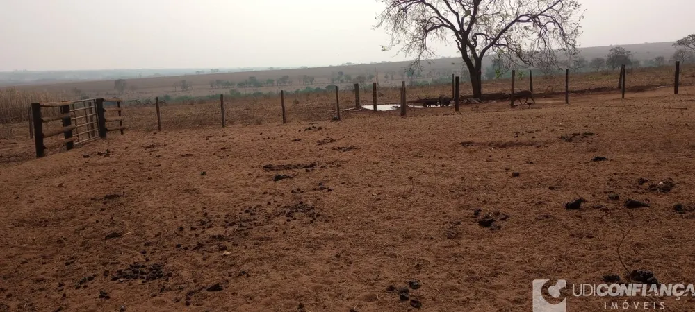 Fazenda - Foto 1