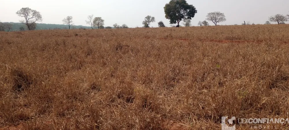 Fazenda - Foto 3