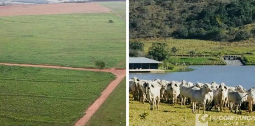 Fazenda - Foto 1
