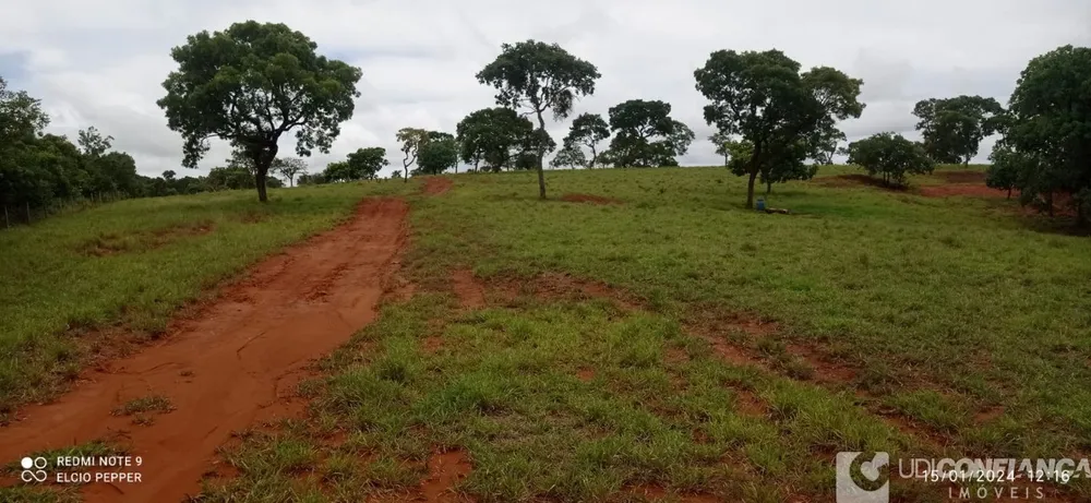 Fazenda - Foto 8