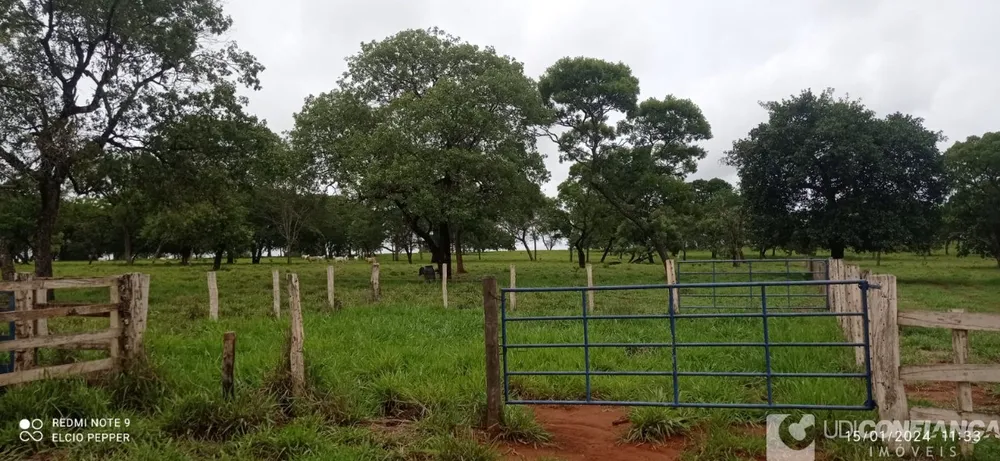 Fazenda - Foto 6