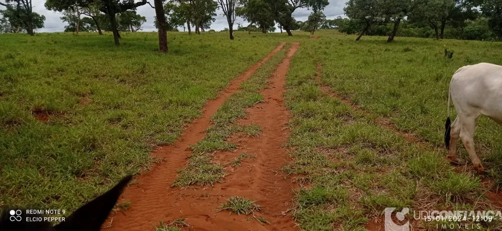 Fazenda - Foto 9