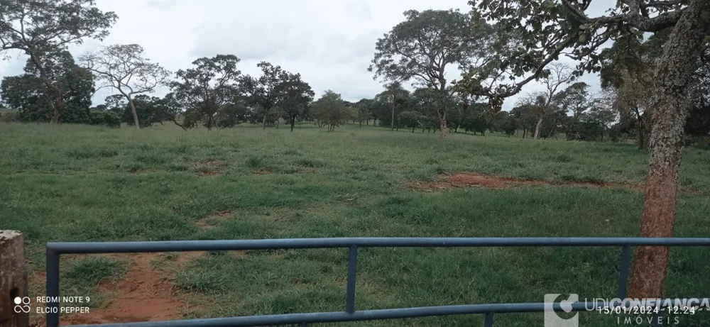 Fazenda - Foto 11