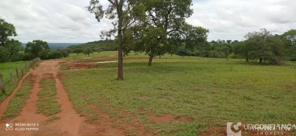 Fazenda - Foto 4