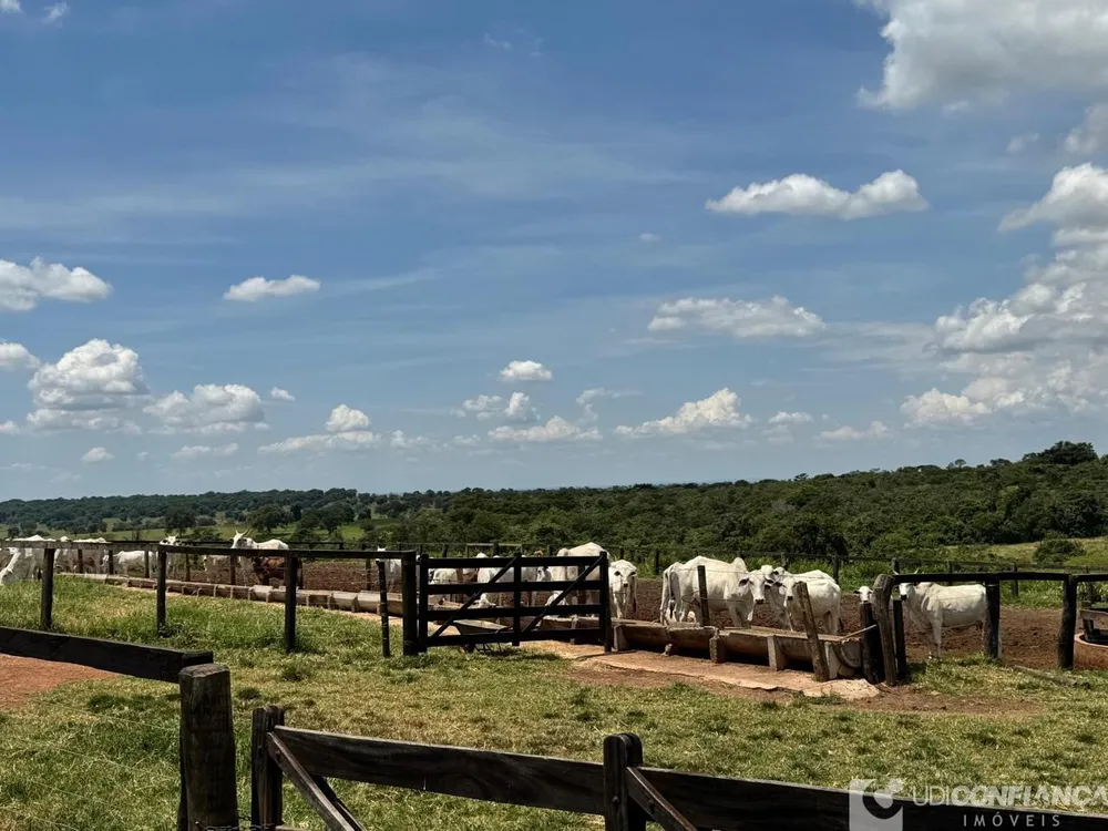 Fazenda - Foto 5