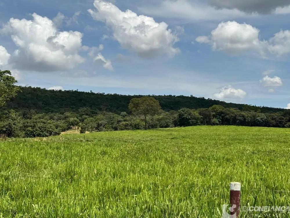 Fazenda - Foto 4
