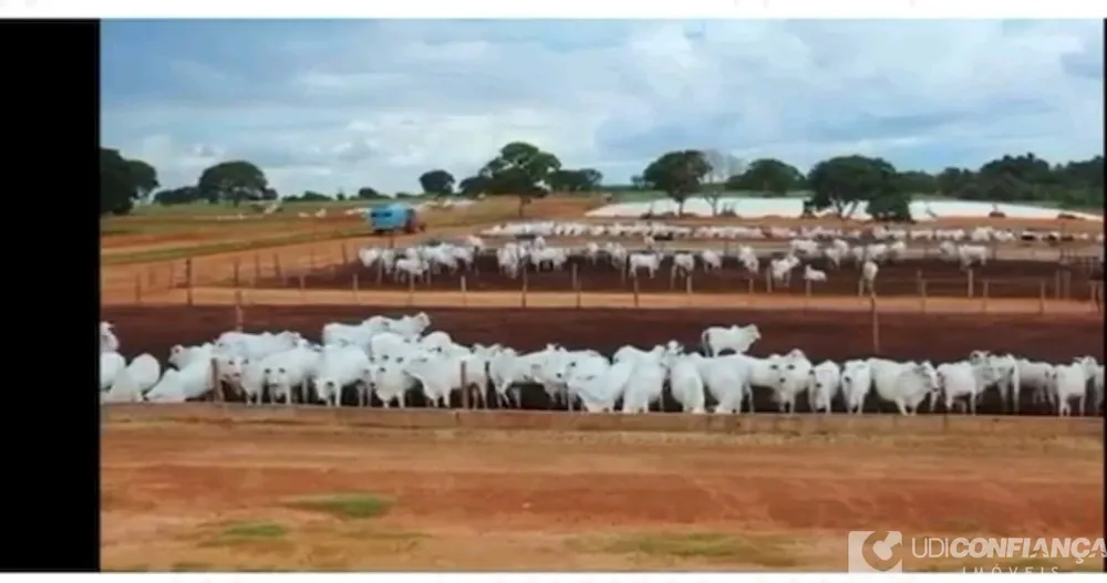 Fazenda - Foto 2
