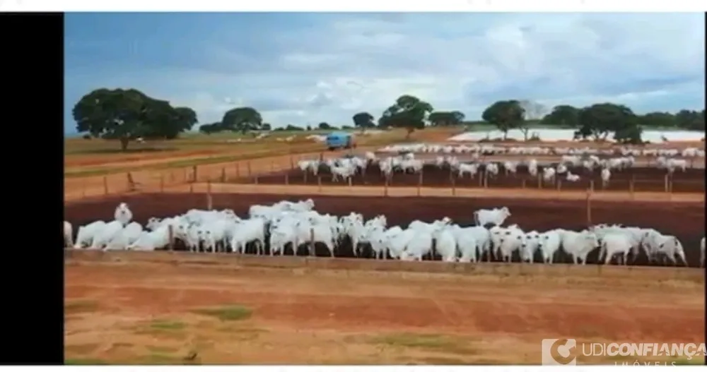 Fazenda - Foto 10