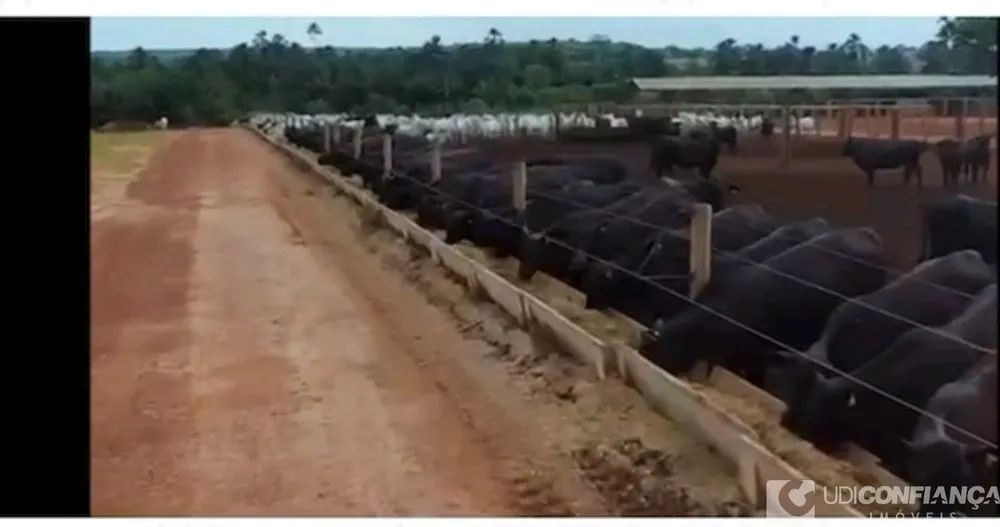 Fazenda - Foto 3